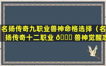 名扬传奇九职业兽神命格选择（名扬传奇十二职业 🐕 兽神觉醒攻略）